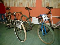 Terrys Pashley alongside Loise's steed from the 2000 Sydney Olympics